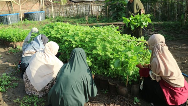 a group of women in headscarves tend to plants in a vegetable patch