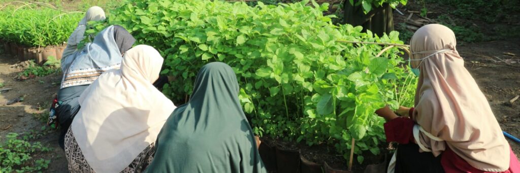 a group of women in headscarves tend to plants in a vegetable patch