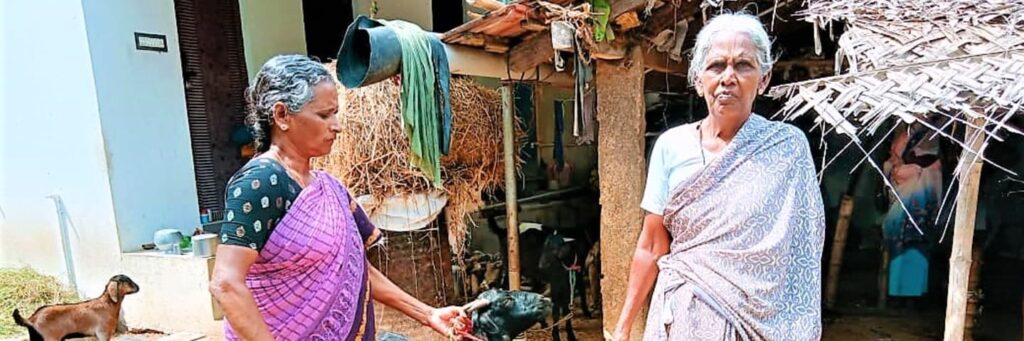 Two elderly women in saris stand with goats.