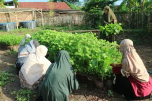 A group of women working in a vegetable garden