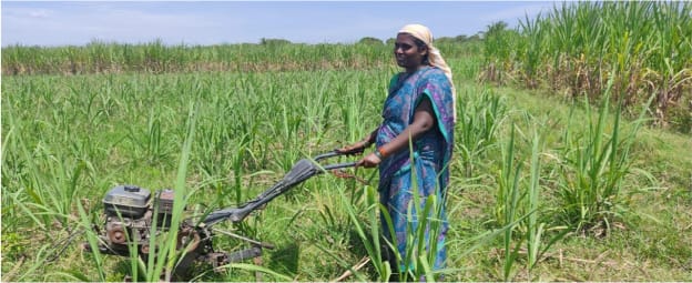 A woman in sari with a lawnmower working in a field of tall grass.